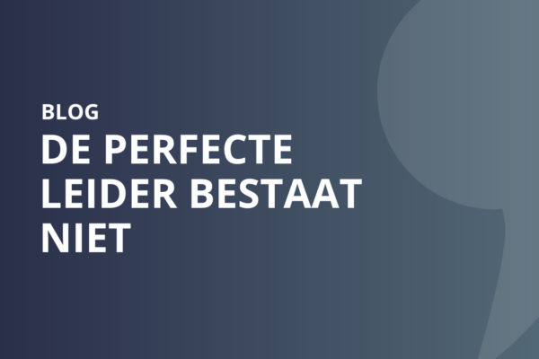 De perfecte leider bestaat niet